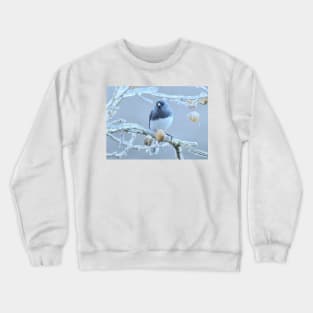 Junco  ~ after the ice storm Crewneck Sweatshirt